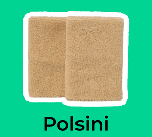 Polsini